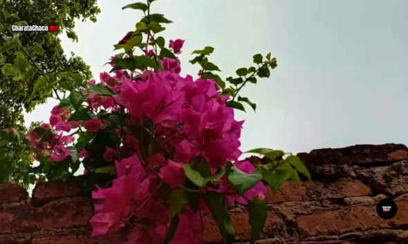 Clima en Charata hoy: alerta amarilla por tormenta este martes