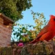 Clima en Charata hoy: martes soleado con máxima de 23°C