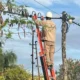 Secheep: corte de luz en Charata este martes