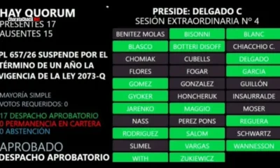 Suspensión de las PASO en Chaco: Diputados aprobó la medida