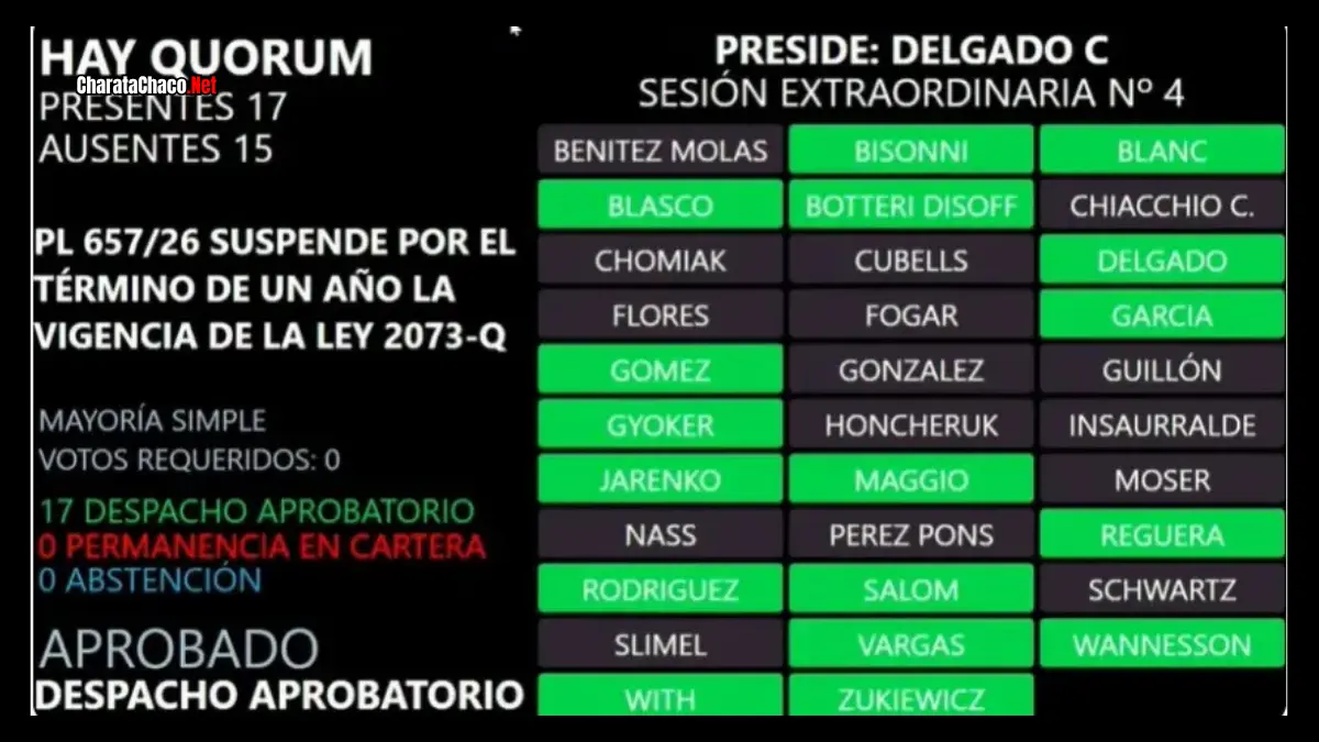 Suspensión de las PASO en Chaco: Diputados aprobó la medida