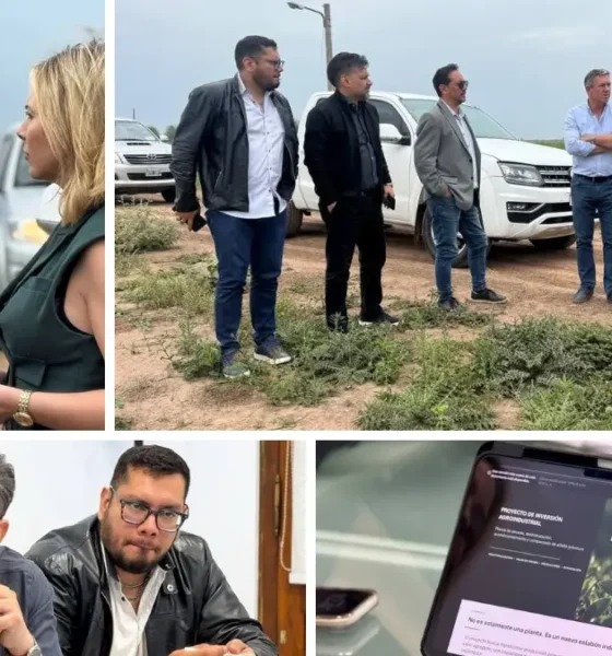 Evalúan instalar una planta de alfalfa en Charata
