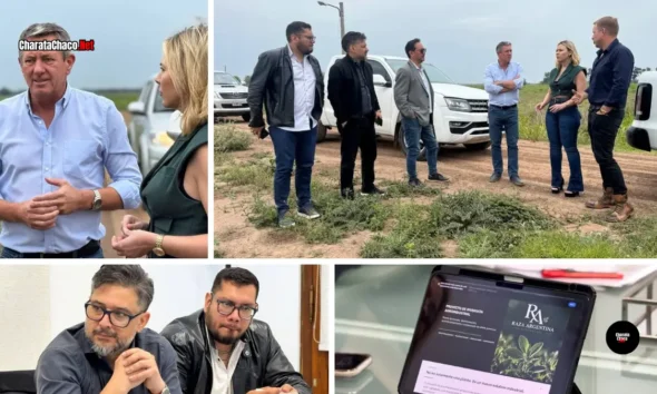Evalúan instalar una planta de alfalfa en Charata