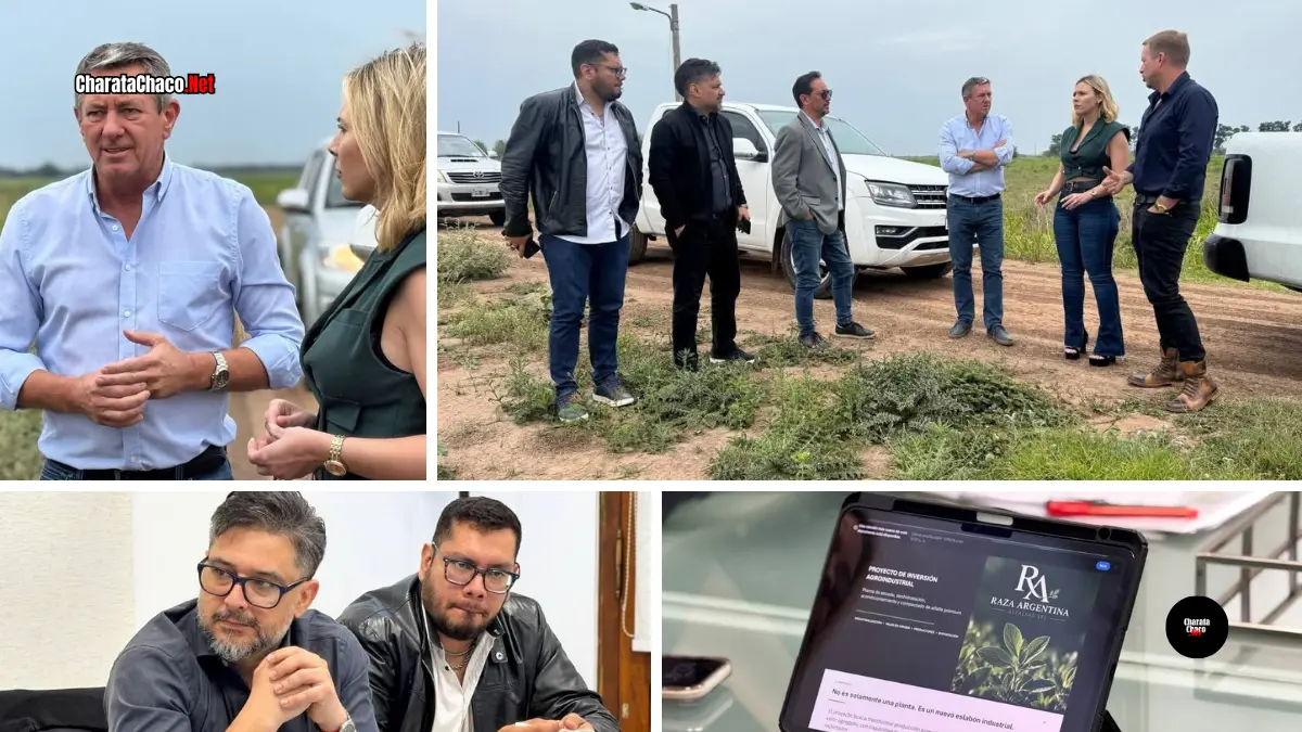 Evalúan instalar una planta de alfalfa en Charata