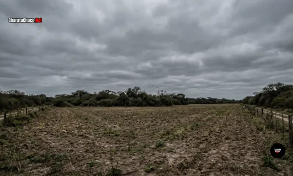 Alerta naranja por tormentas en el este del Chaco