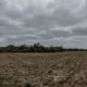 Alerta naranja por tormentas en el este del Chaco