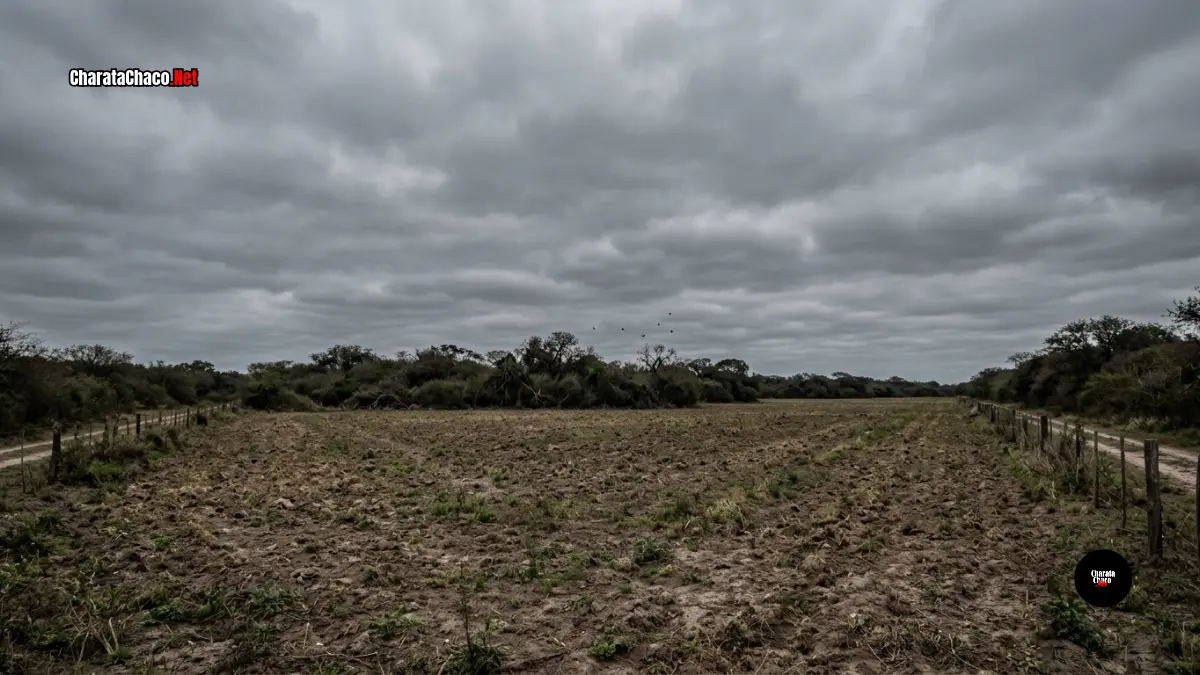 Alerta naranja por tormentas en el este del Chaco