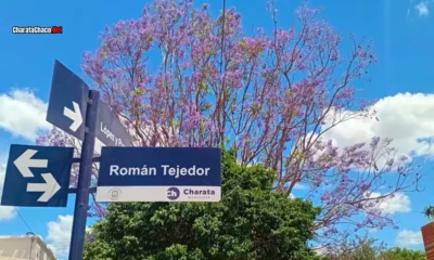 Clima en Charata hoy: cómo estará el Día de la Madre