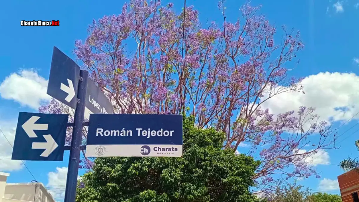 Clima en Charata hoy: cómo estará el Día de la Madre