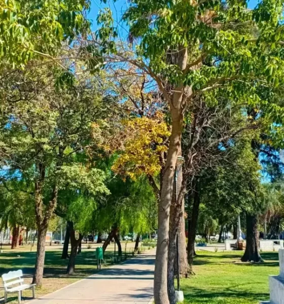 Clima en Charata hoy: pronóstico de este miércoles