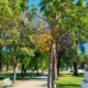 Clima en Charata hoy: pronóstico de este miércoles