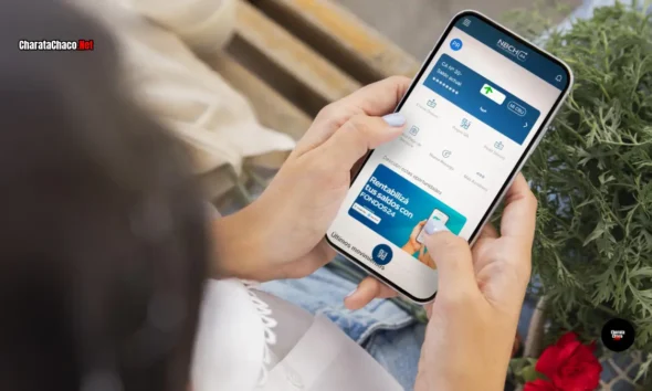 Cuenta remunerada en NBCH24: rendimiento diario automático