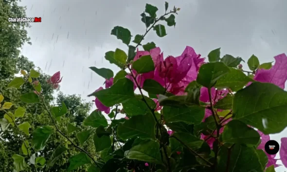 El tiempo en Charata: pronóstico del lunes 12 de octubre