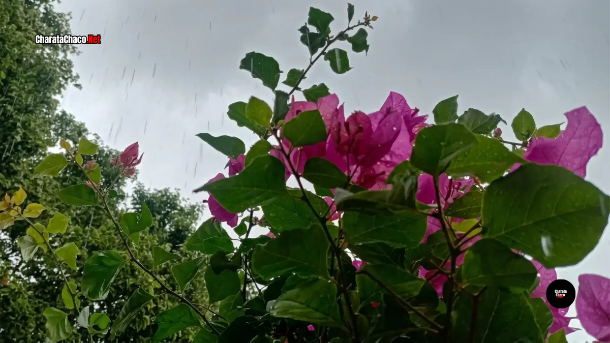 El tiempo en Charata: pronóstico del lunes 12 de octubre