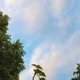 El tiempo en Charata: pronóstico del martes 20 de octubre