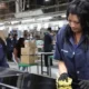 Empresas empleadoras en Chaco: 385 menos que en julio de 2025