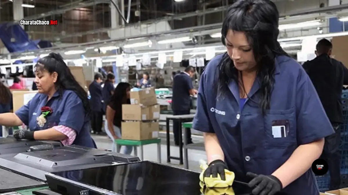 Empresas empleadoras en Chaco: 385 menos que en julio de 2025