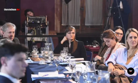 Silvana Schneider en el Senado: debate por la hidrovía