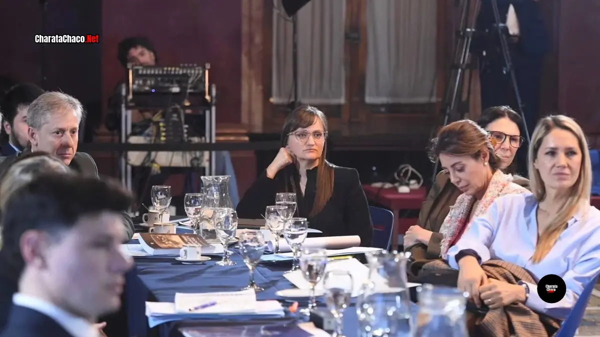 Silvana Schneider en el Senado: debate por la hidrovía